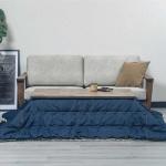 手元コントローラー付き