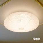 直径約60cm