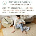 遊び毛が出にくい仕様