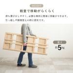 5kgなので女性でも気軽に持ち運べる