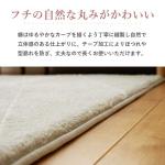 フチはゆるやかなカーブを描く