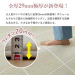 分厚いボリューム