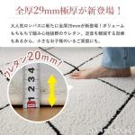 分厚いボリューム