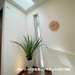 直径30cm