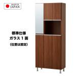 標準仕様でミラー1面