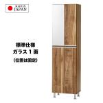 標準仕様でミラー1面
