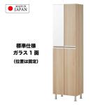 標準仕様でミラー1面