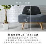 かなり低めに設計したローデザイン