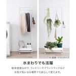 プランツラックとしても活躍