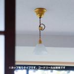 ゴールドのソケット
