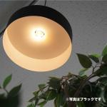 内側に光が反射して明るい