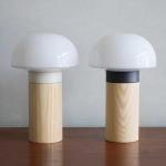 カラーは2色をご用意