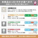 オプション電球の説明