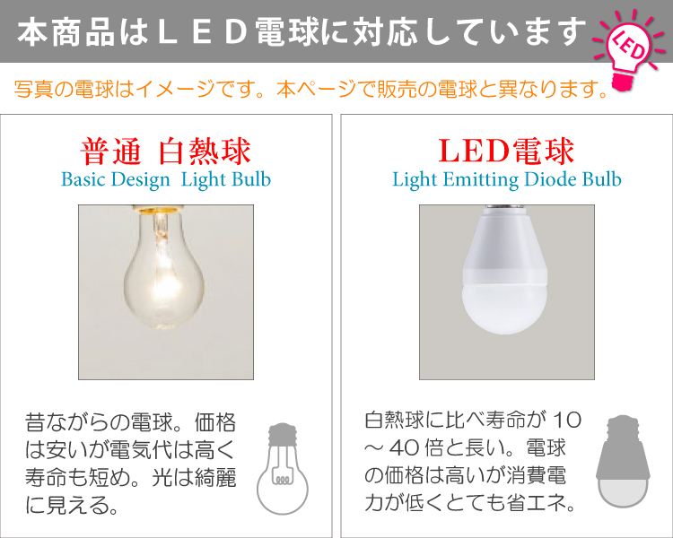   白熱球・LED電球の説明