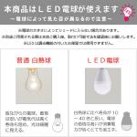 白熱球・LED電球の説明
