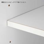 左側の扉収納には可動棚が2枚付属